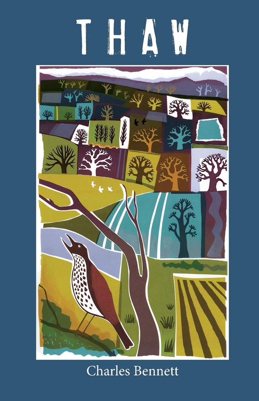 Thaw by Charles Bennett (Paperback Book)