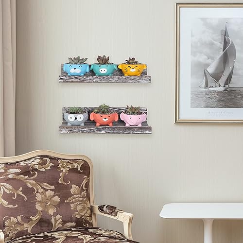 Miniatura 7 de Macetas de animales para suculentas con drenaje, paquete de 6 macetas lindas de 4 pulgadas para suculentas, búho y gato, macetas pequeñas para