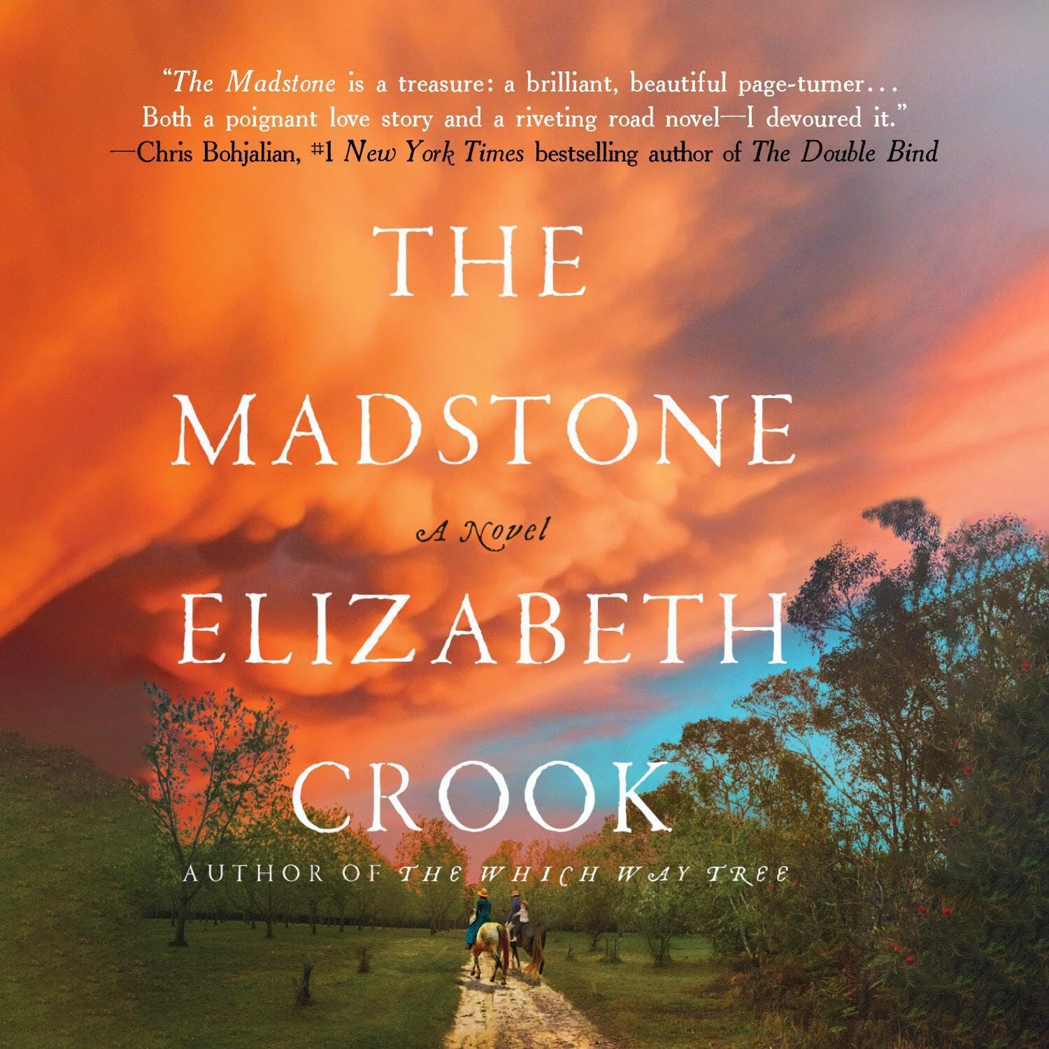 Cover art for The Madstone