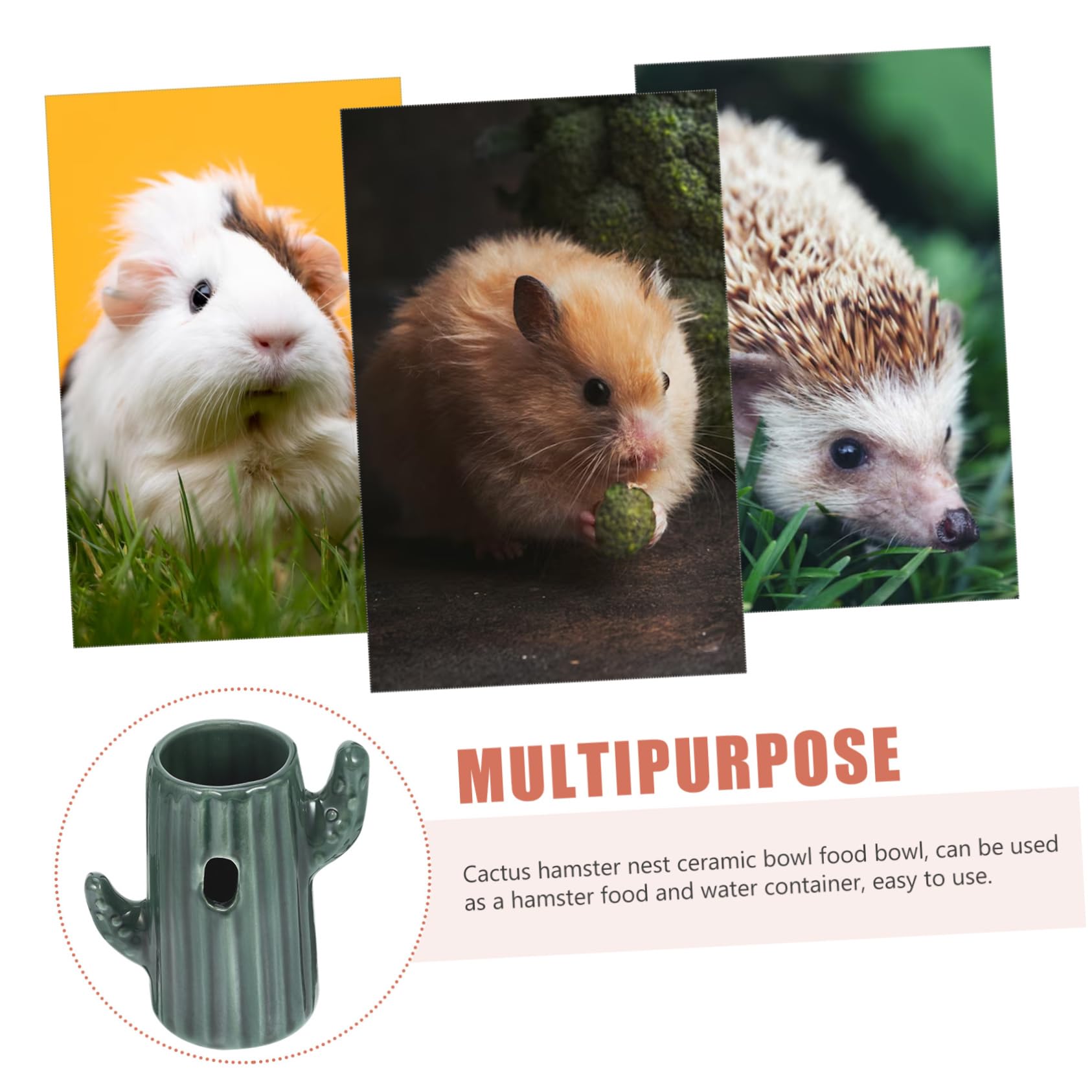 BESPORTBLE 3piezas Soporte para Bebedero De Hamster De Cerámica Forma De Cactus Dispensador De Agua para Mascotas Pequeñas Decoración De Jaula y Accesorio Práctico