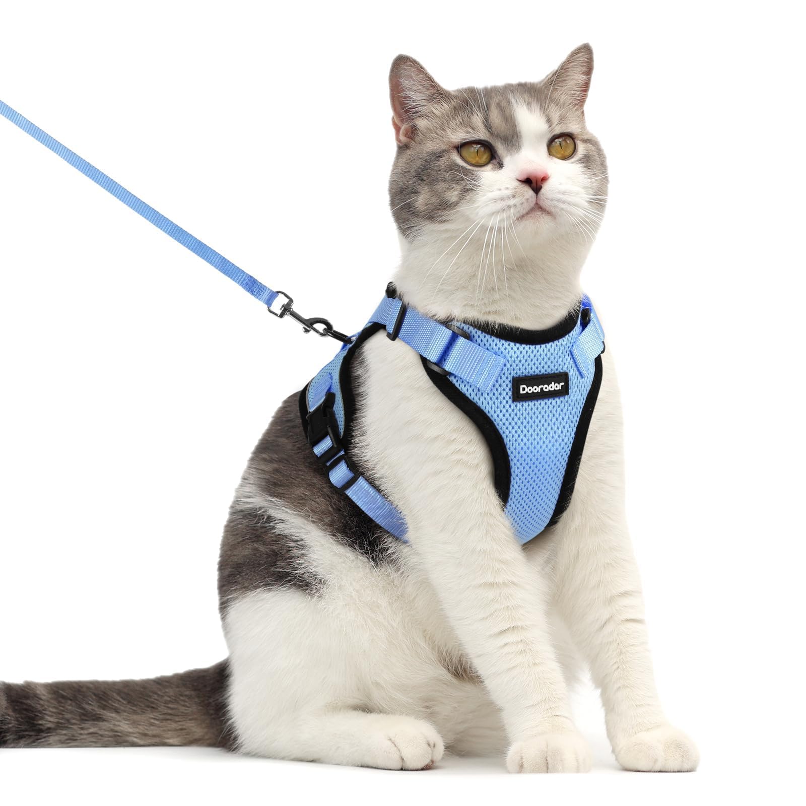 Dooradar Harnais et Laisse pour Chat, Anti-Fuite, sûr et réglable, Gilet pour Chaton, contrôle Facile, Veste en Maille Douce et Respirante avec Bandes réfléchissantes