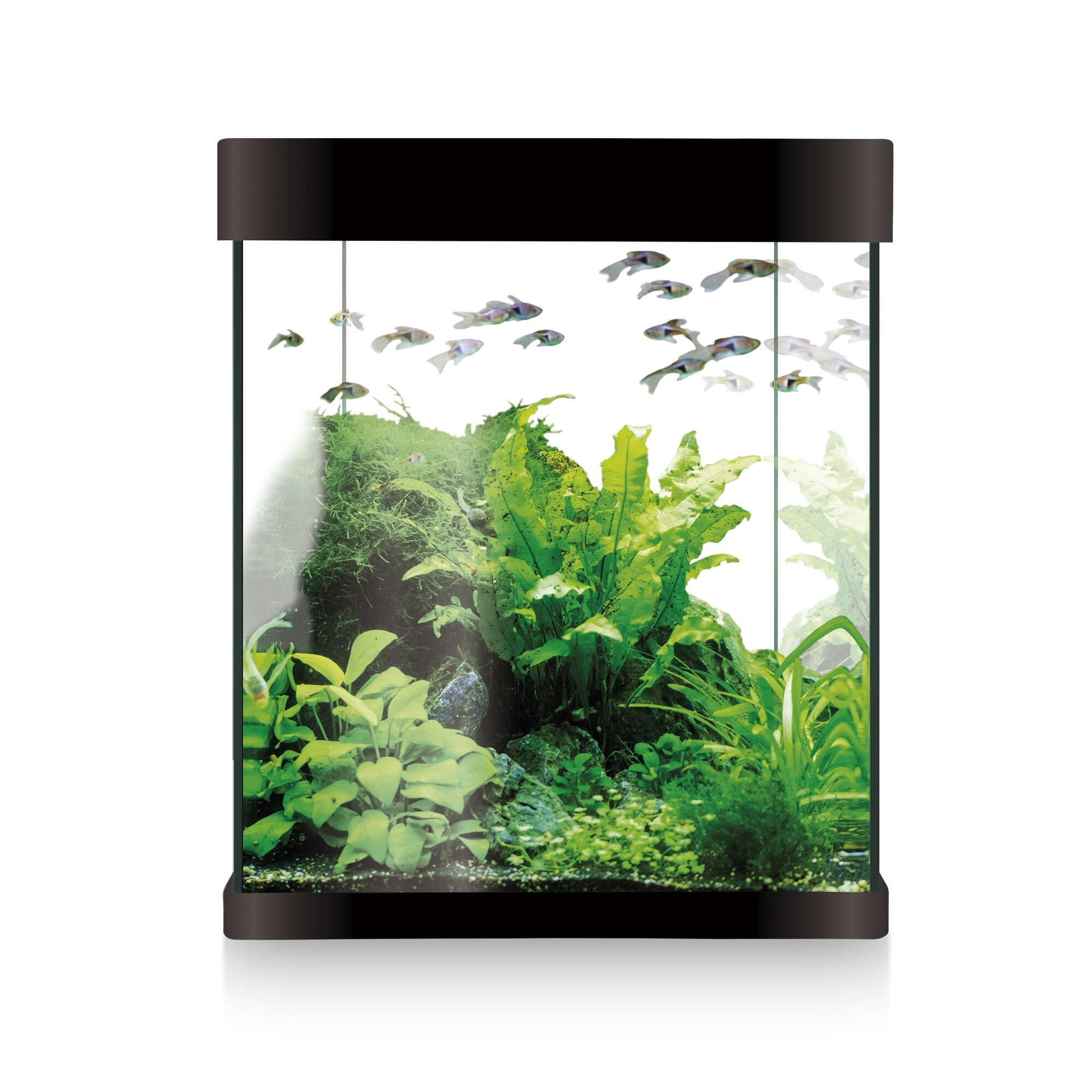 Acuario ICA Kit Nano AQUALED 10 litros Negro