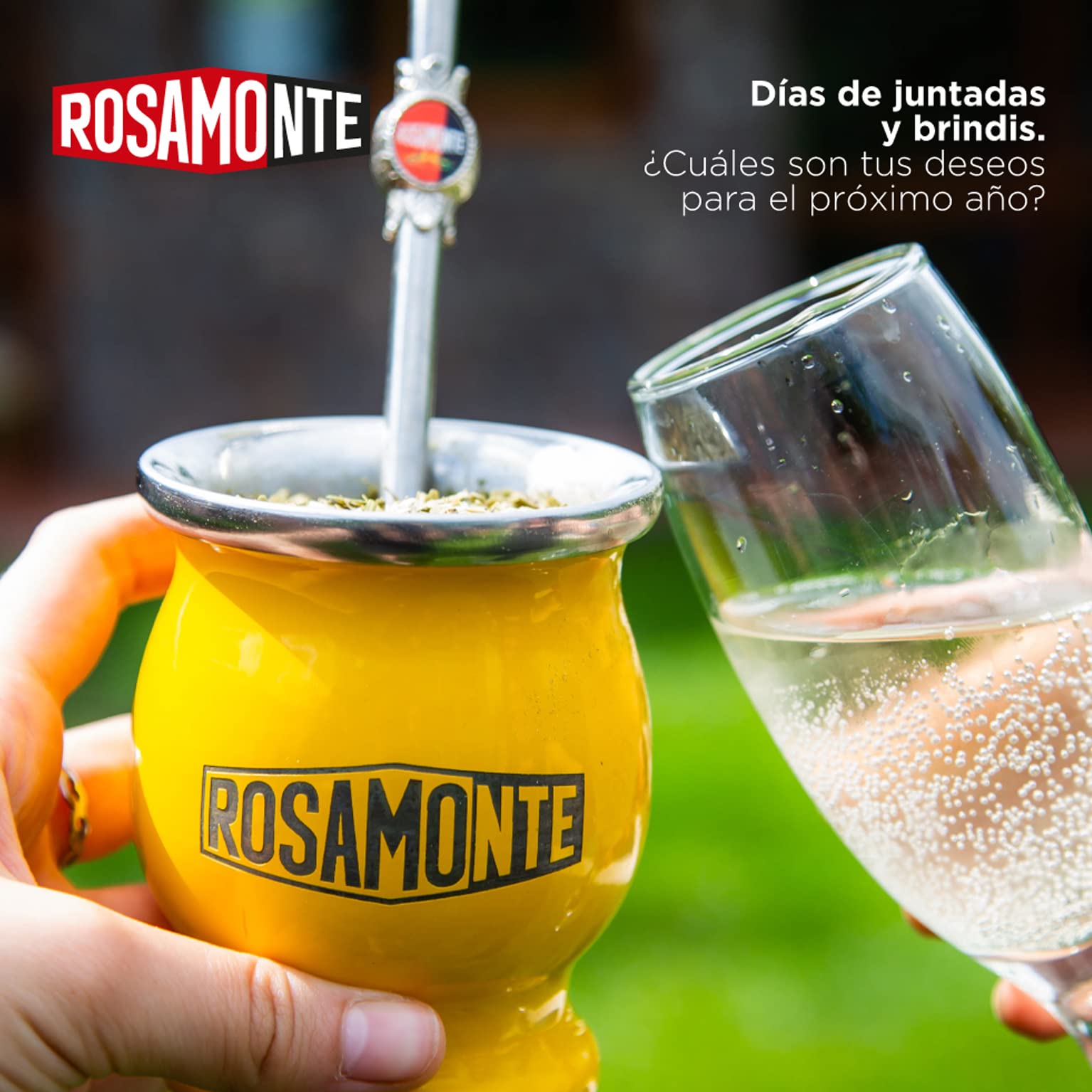 Rosamonte Yerba Mate Tè Suave 3kg | Set Mate Argentino | Bevanda disintossicante ed energetica