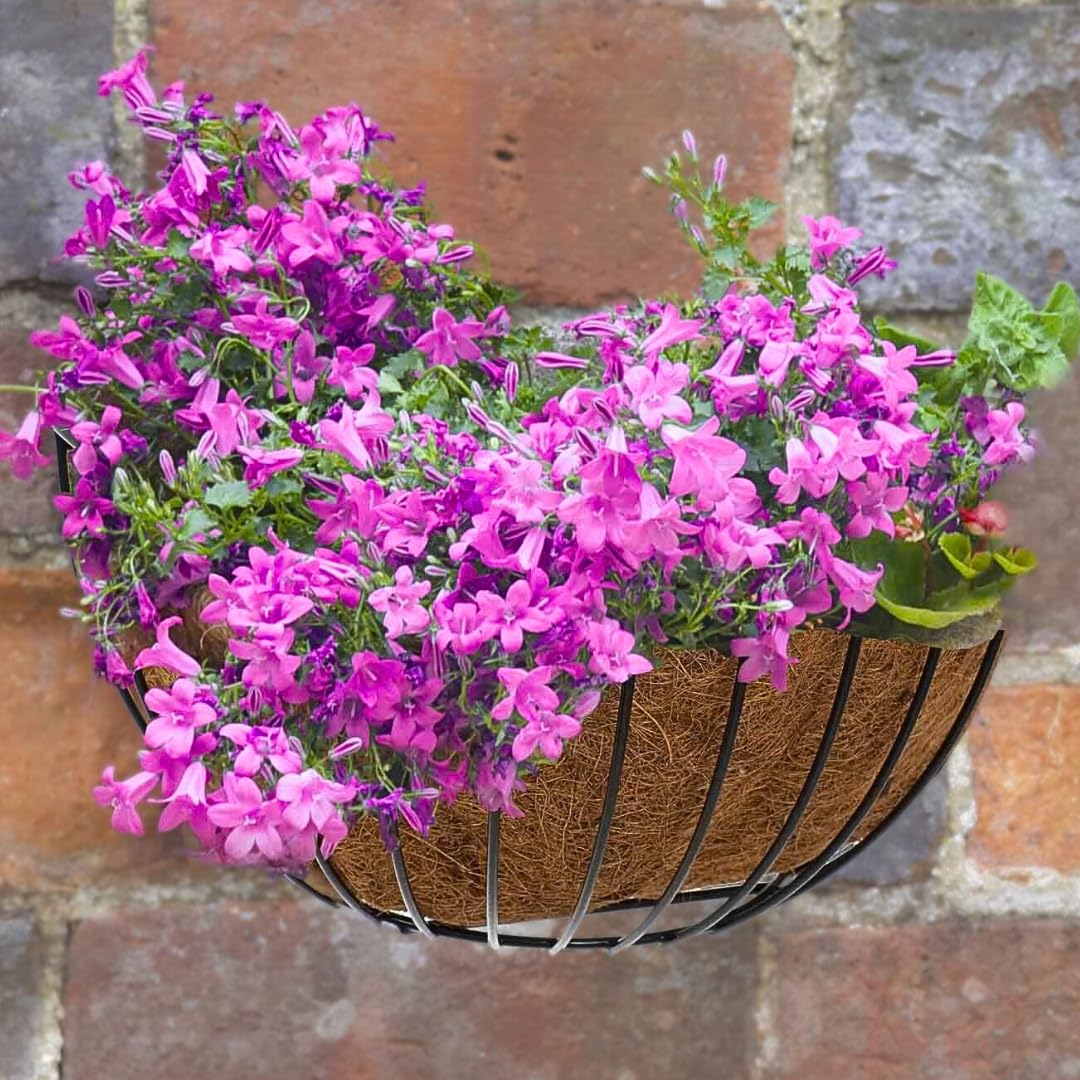 Garden Mile Black 16 Inch Hanging Fence Planter - Durable Metal Herb & Flower Pot With Tray And Drainage Holes, Outdoor Garden Hanging Basket For Windowsills, Balconies, Patios