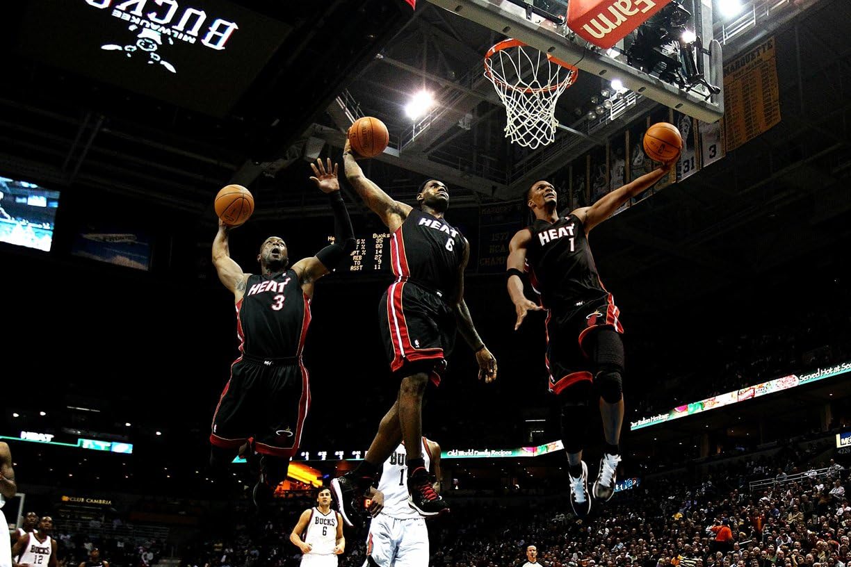 lebron wade alley oop poster