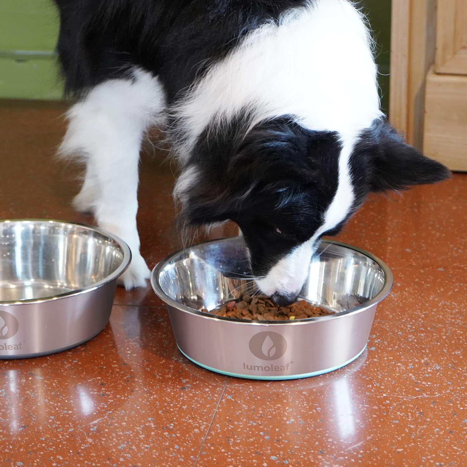 LumoLeaf Ciotole per cani grandi in acciaio inox da 2,9 oz/13 tazze, confezione da 2 ciotole per acqua e cibo, piatti antiscivolo per animali domestici con fondo in gomma, ciotole per animali