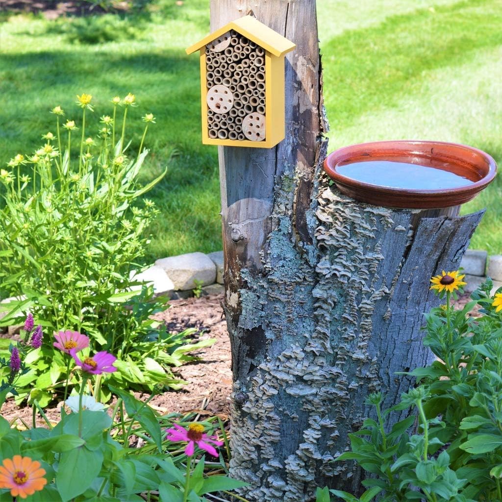 Nature's Way Bird Products PWH1-A Bee House, Yellow
