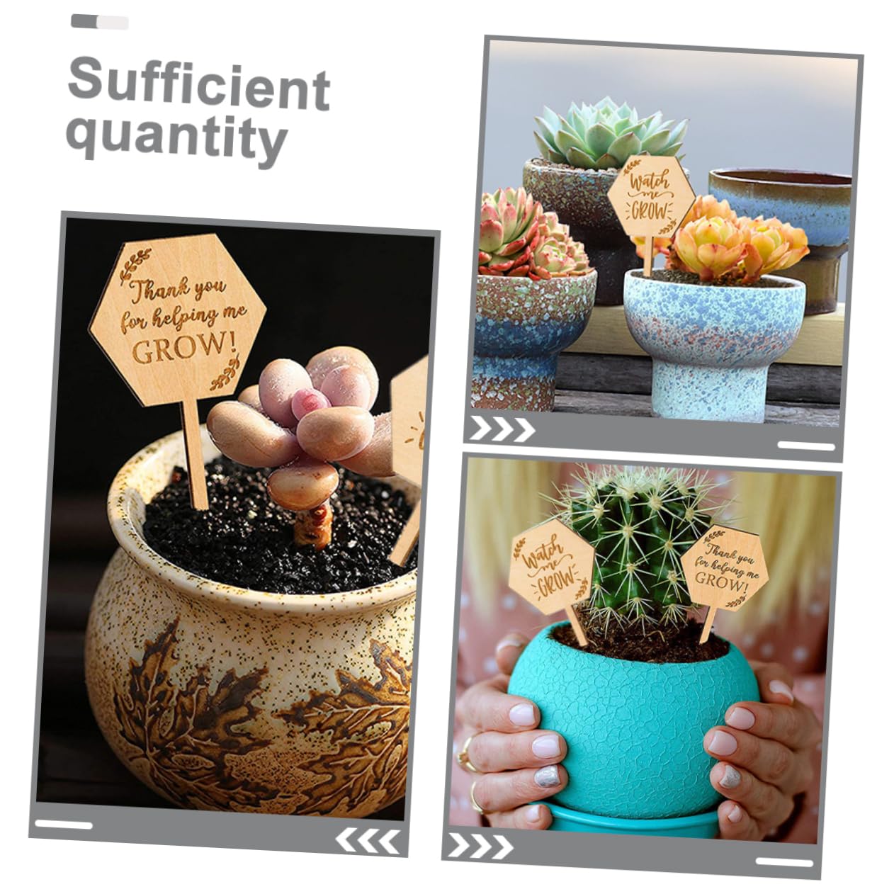 Abaodam 5 Ensembles Étiquette En Bois Marqueurs De Plantes De Jardin Croissance Nursery Usine Étiquettes De Plantes Imperméables Étiquettes De Plantes Pour 40 Pièces * 5