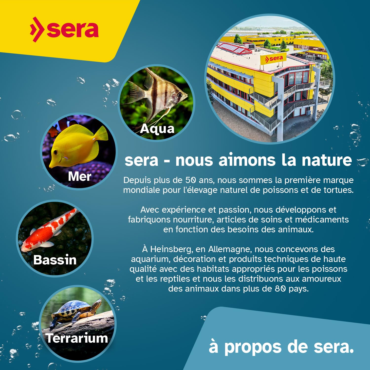 SERA Aquarium Gravel White Coarse 6 L | Sustrat pour Aquariums d’Eau Douce| pour Poissons, Silures et Crevettes | Aspect Naturel