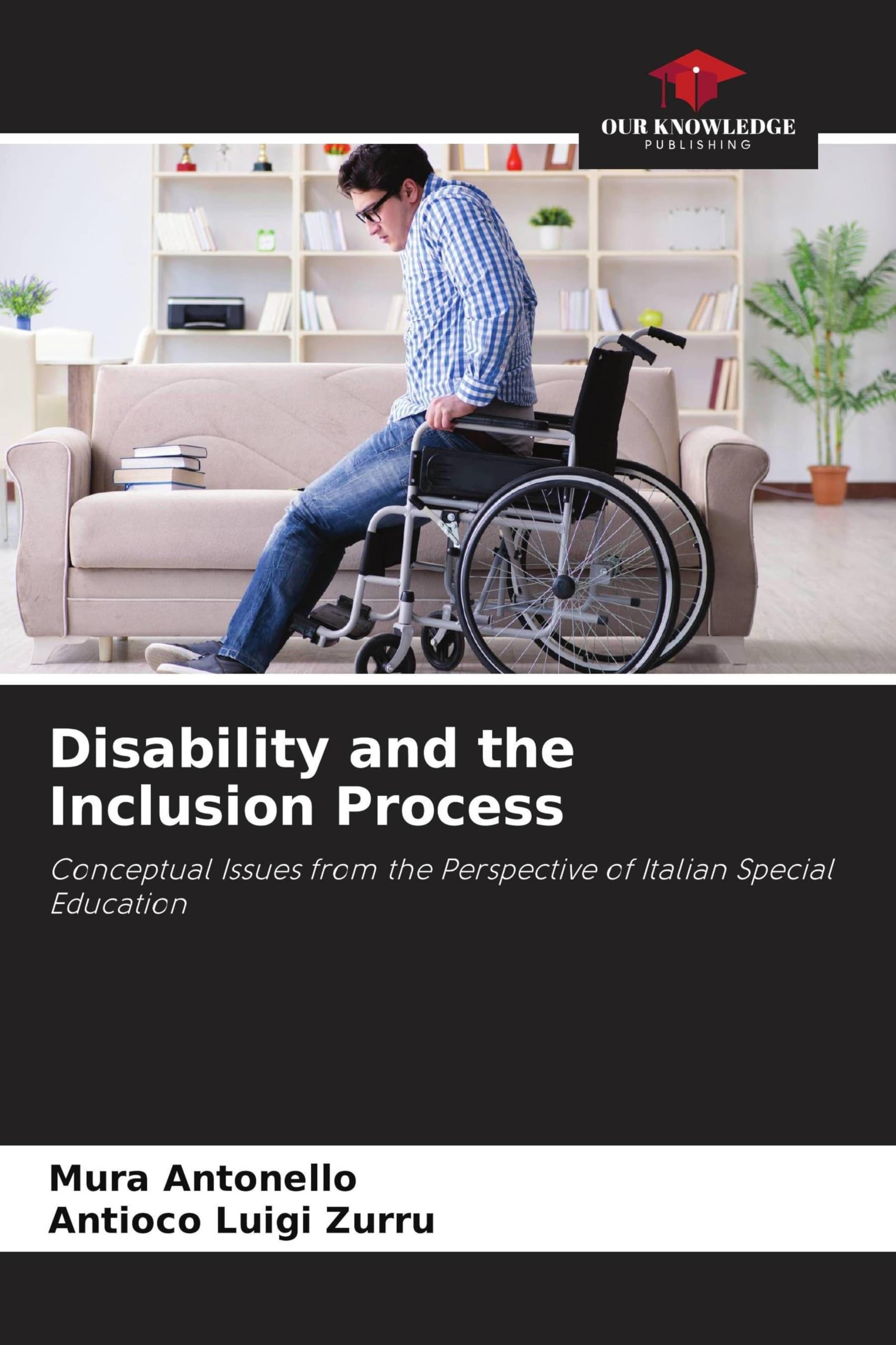 Disability and the Inclusion Process: Conceptual Issues from the Perspective of Italian Special Education