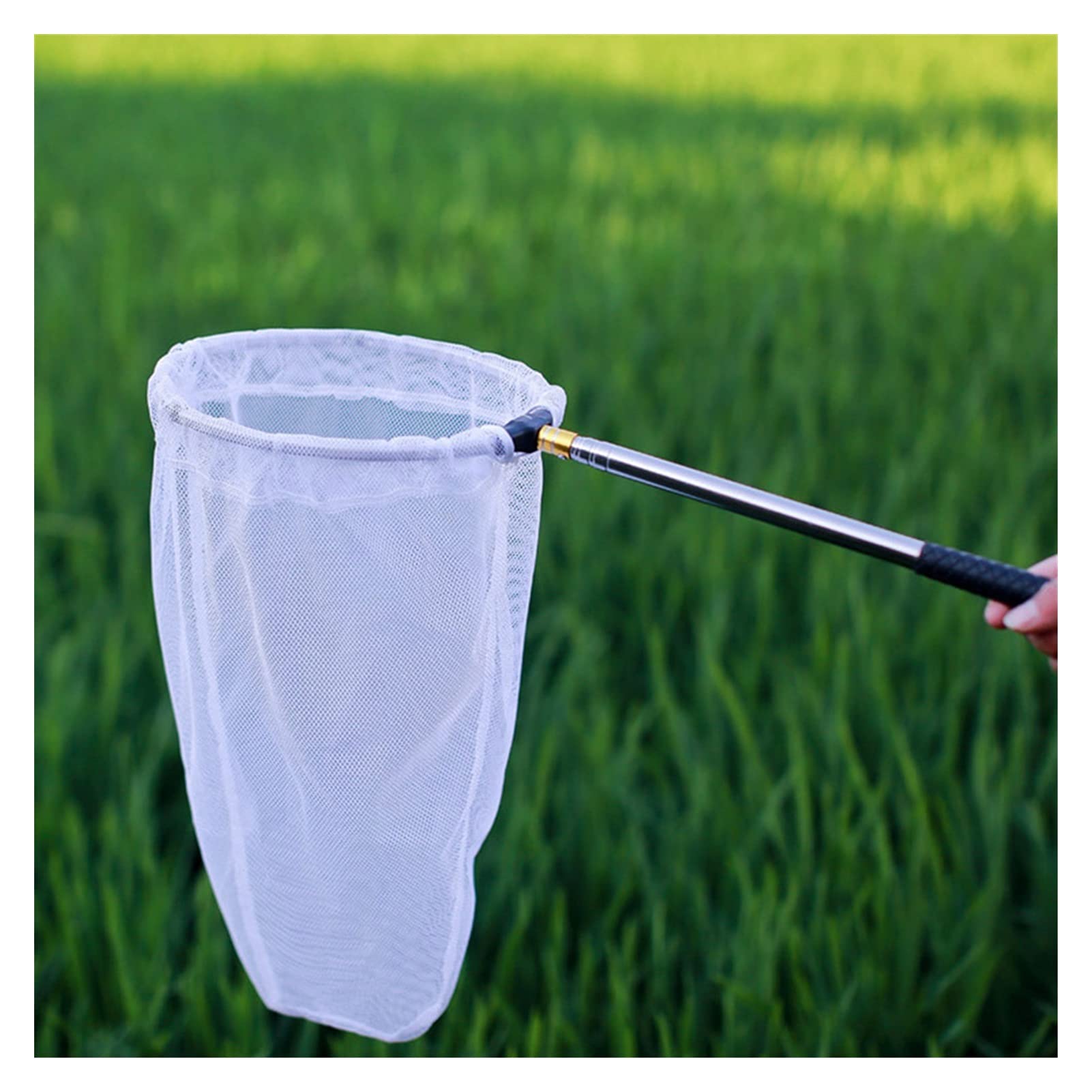 Epuisette Pêche Pliable Net Télescopique Insectie Mesh Portable Poignée en Acier Inoxydable Poignée Enfants Outdoor Activité Net Pôle for Insectes Fishing Rod Accessories