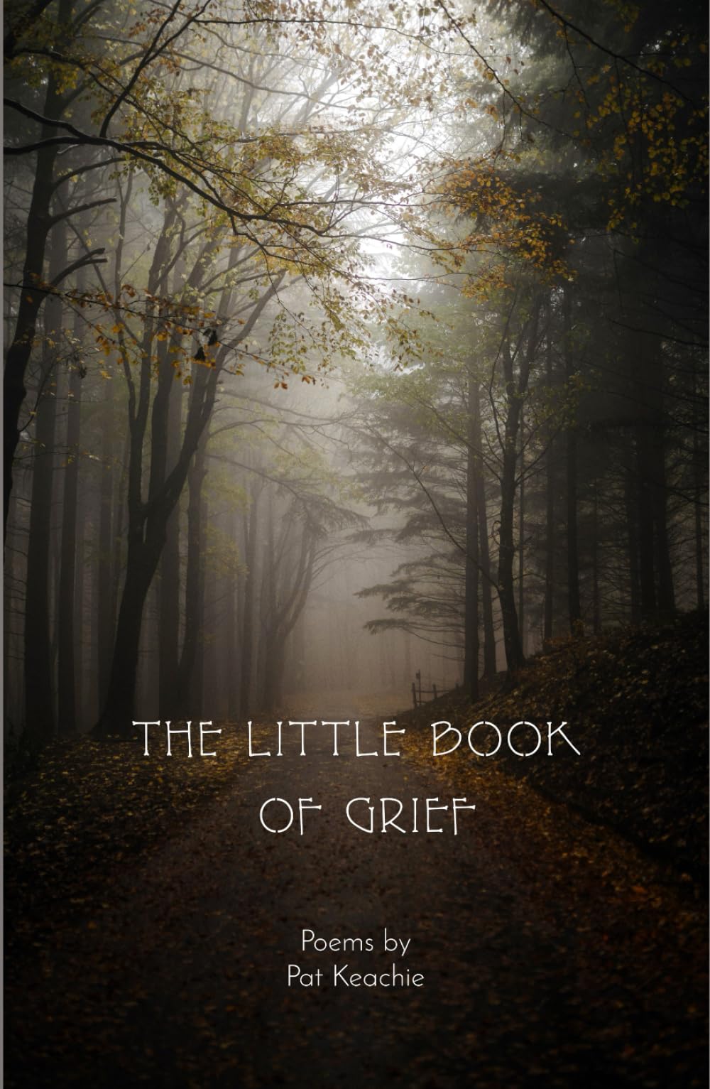 The Little Book of Grief: For A Wounded Heart