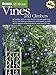 Ortho's All About Vines and Climbers