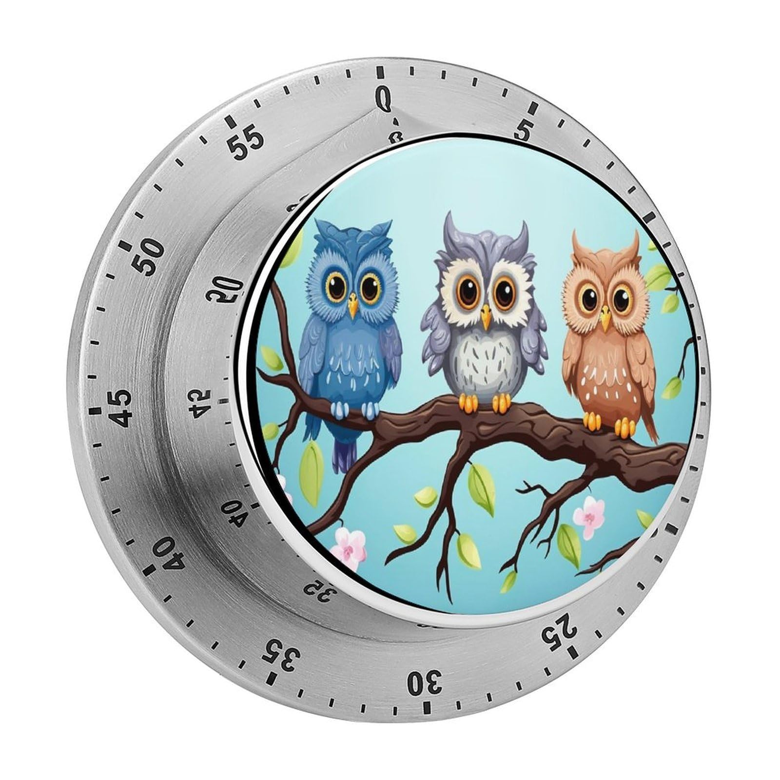 Owls on A Branch Visual Timer Cute Desk Timers No Batteries Required Magnetic Indoor Countdown Timers Loud Alarm Exquisite Manual Time Timer Clock for Gift