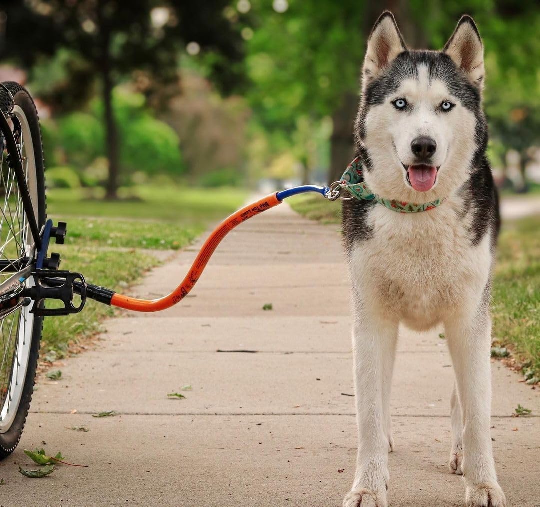 Bike Tow Leash Right Side Single Dog Package – fits Most Bicycles, E-Bikes, and Recumbents – Safe for Active Breeds and Training Dogs (Orange)