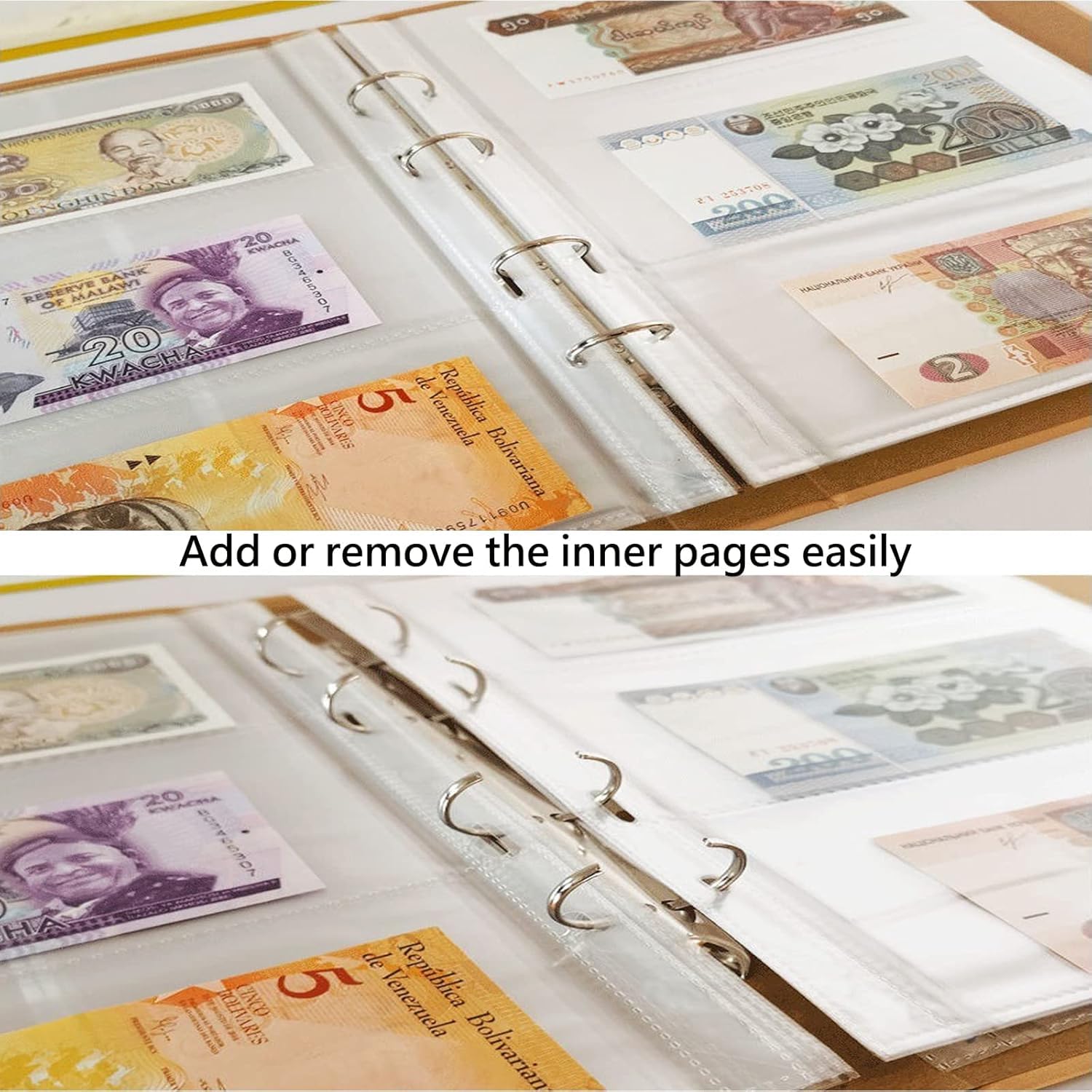 Geldalbum mit 120 Taschen für Scheine + 150 Taschen für Münzen, Sammelalbum für Banknoten, Rechnungen, Sammlerzubehör (40 + 5 Blatt).