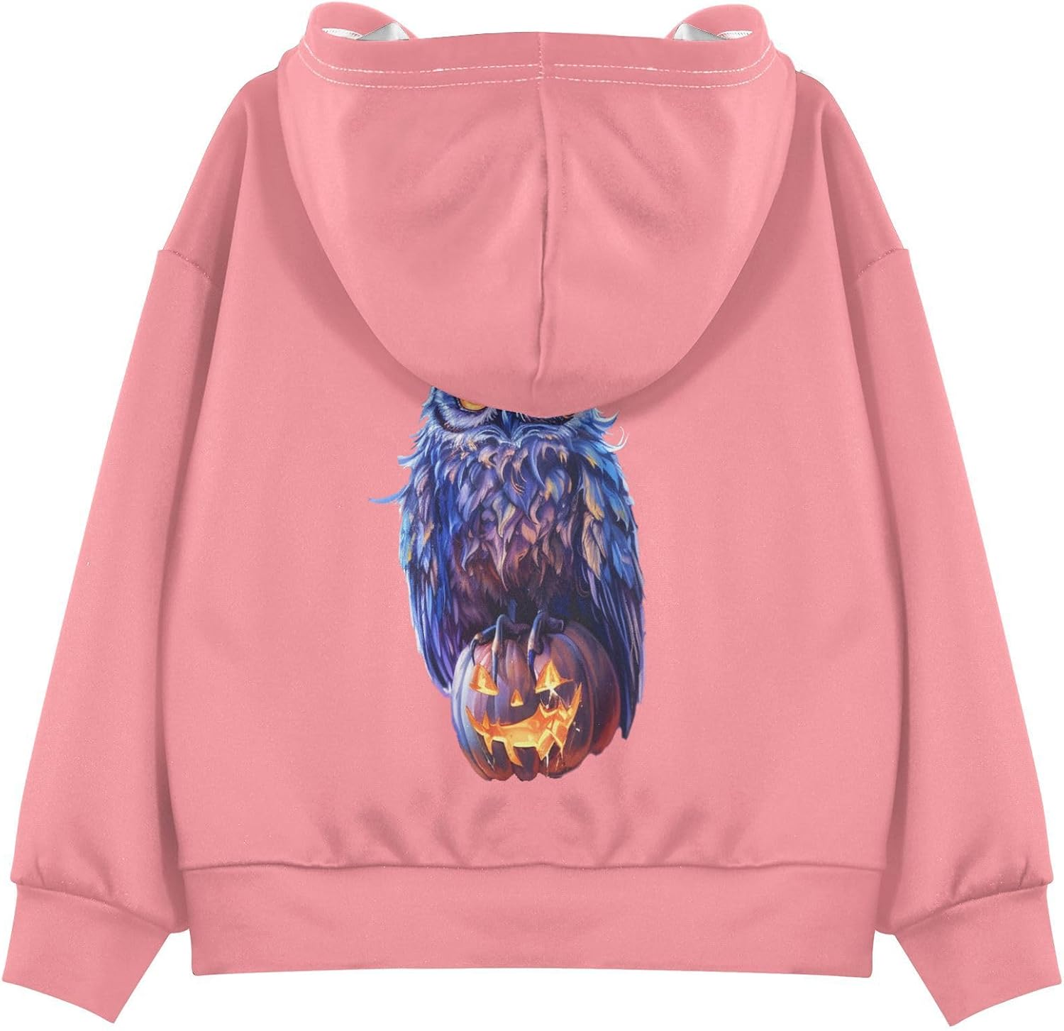 ALAZA owl Halloween Hoodies Sweatshirt for Boys Girls Kids Hooded Pullover Top