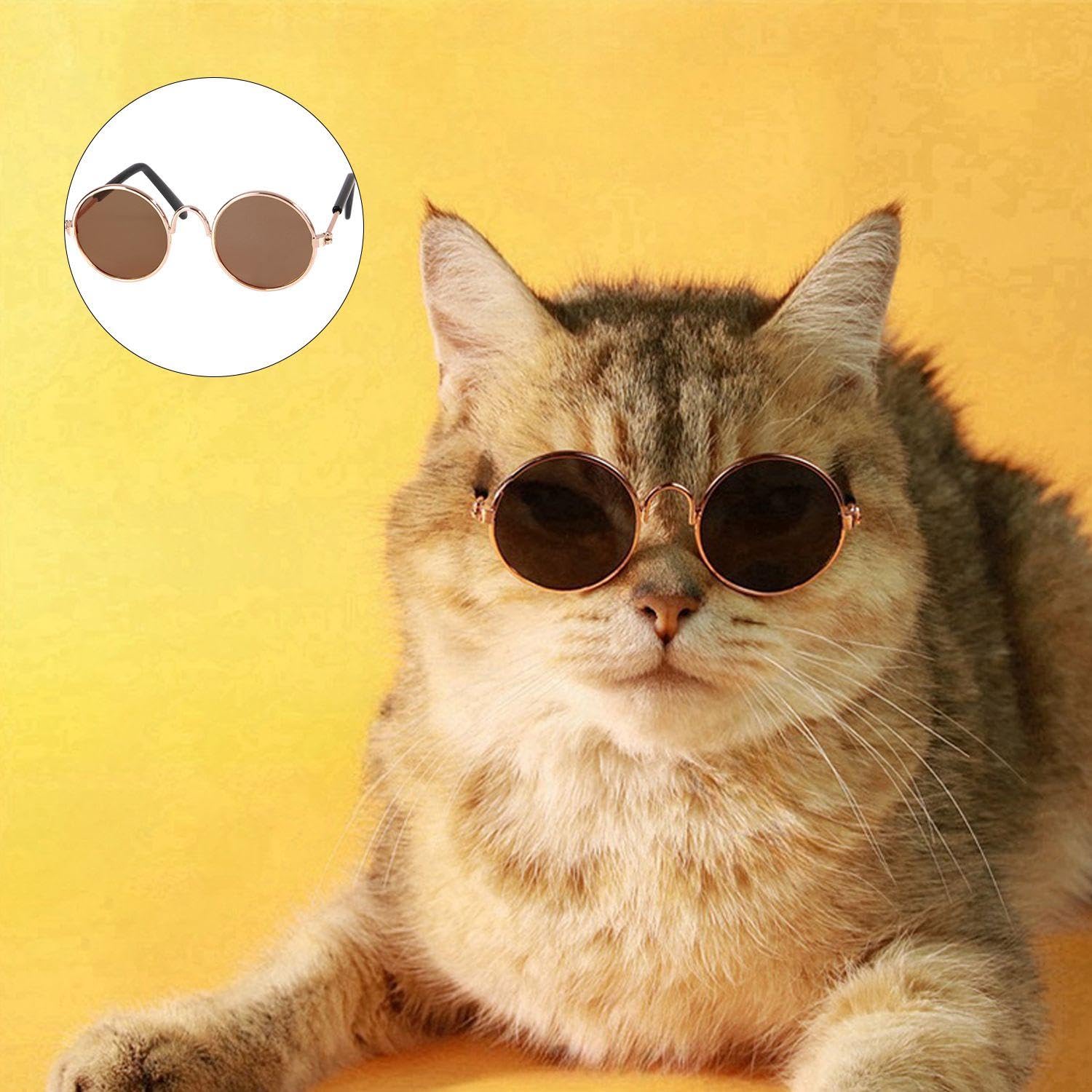 1 x Pet Wig and 1 x Glasses for Pets, Pet Supplies, Pet Accessories, Pet Party Costumes - 5