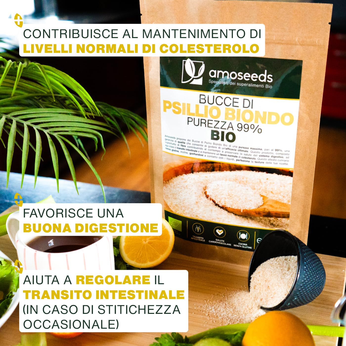 Bucce di Psillio Biondo BIO 1KG | Purezza Massima 99% | Psilio Indiano, Naturale, Puro, Ricco di Fibre | Transito, Digestione, Senza Glutine | Qualità Superiore (1kg)