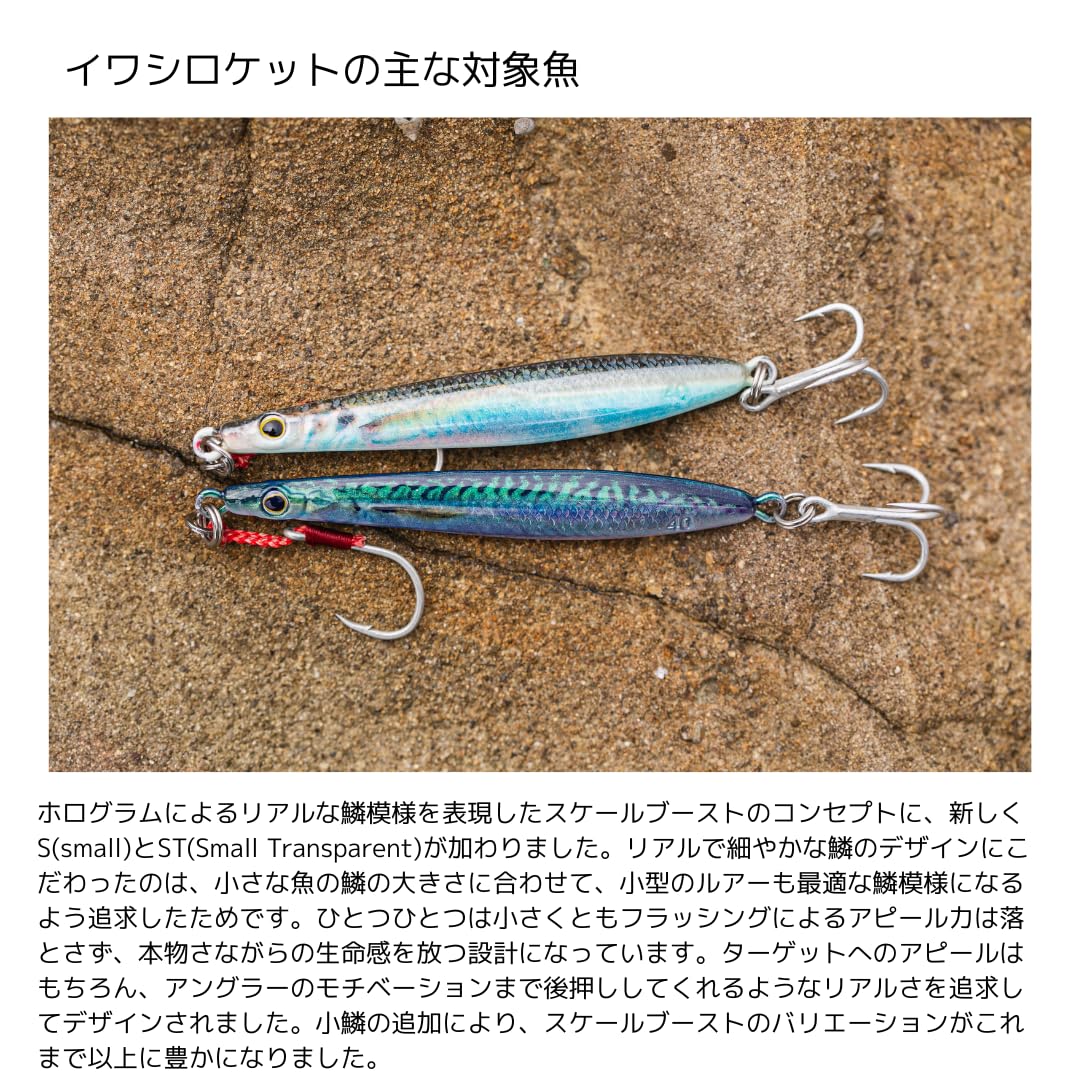 Amazon.co.jp: ジグ コルトスナイパー イワシロケット 4点セット