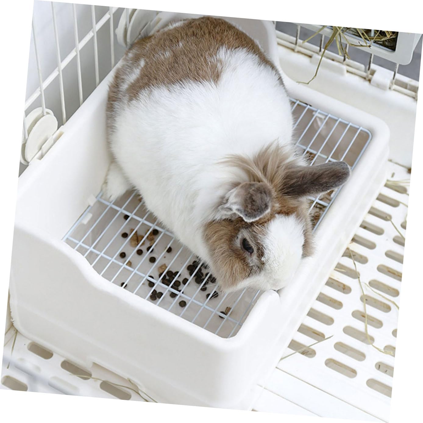 Toilette per Animali Domestici a Gabbia, Vasino per Coniglietti Rete Arrotondata, Lettiera Igienica per Piccoli Animali Come Criceti e Porcellini D'india, Adatta per Soggiorno