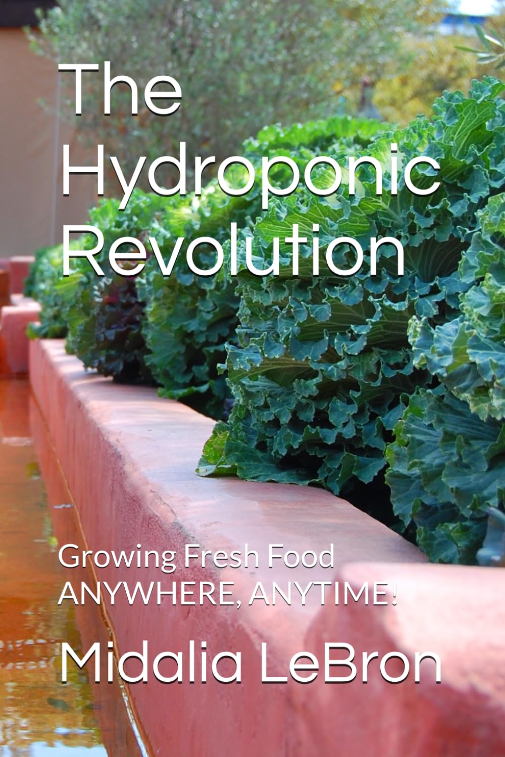 The Hydroponic Revolution: Growing Fresh Food ANYWHERE, ANYTIME!