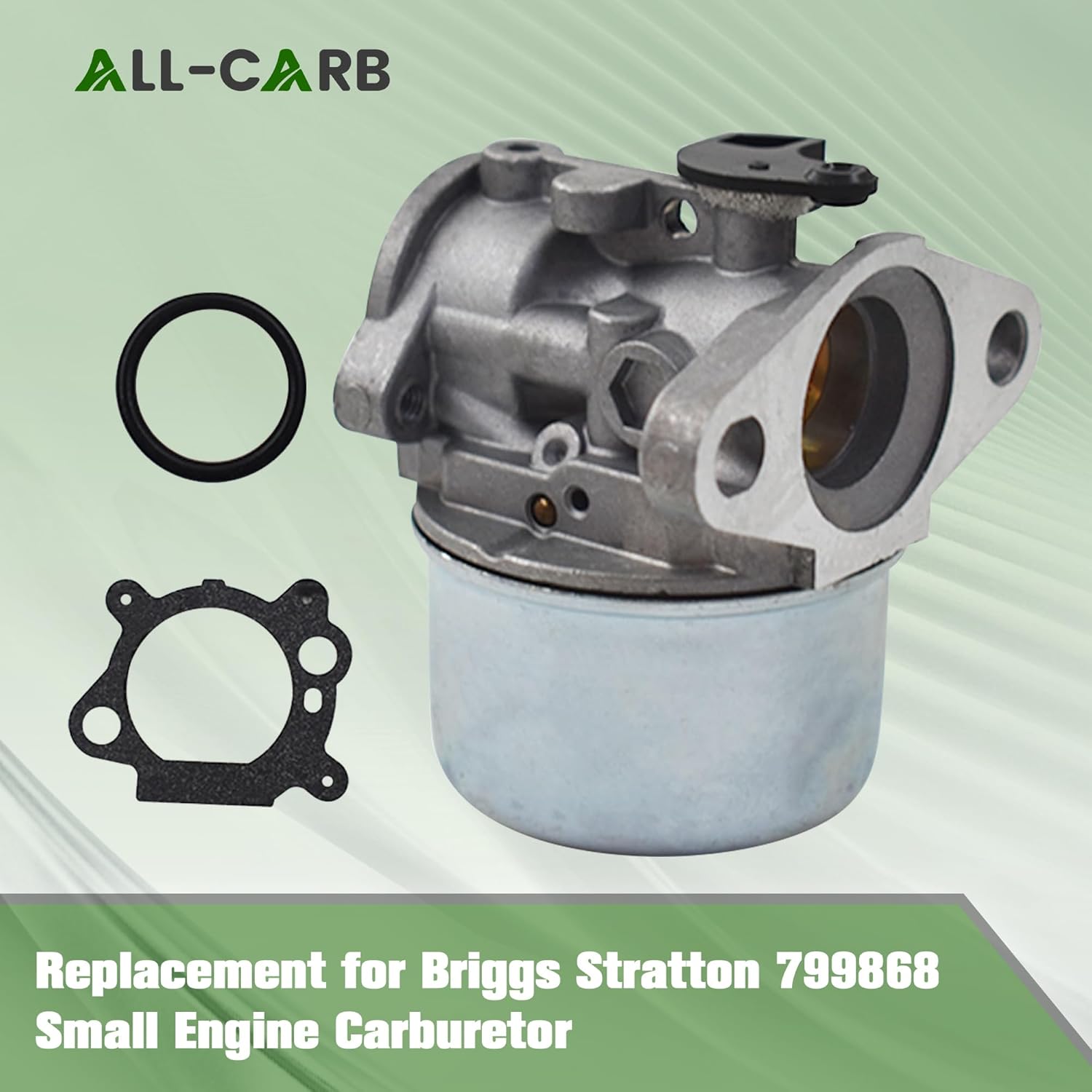 ALL-CARB 799868 799872 Carburetor with Gasket and O-Ring Replacement for 498170 497586 497314 698444 498254 497347 Models Replace 790821 498255
