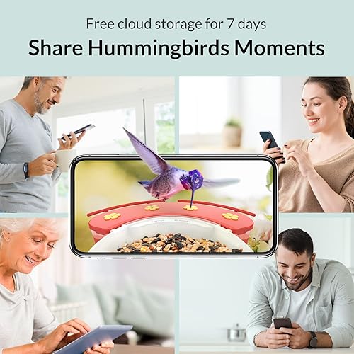 Miniatura 9 de NETVUE Birdfy Cámara con cámara Birdfy Hummee, alimentador inteligente para pájaros con cámara, videos de aves de captura automática y observación