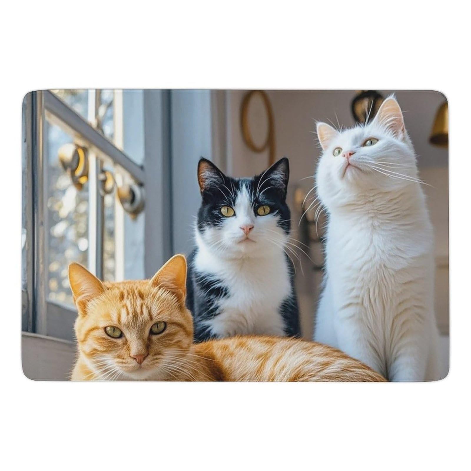 Tapis antidérapant lavable grand format en velours corail pour intérieur doux