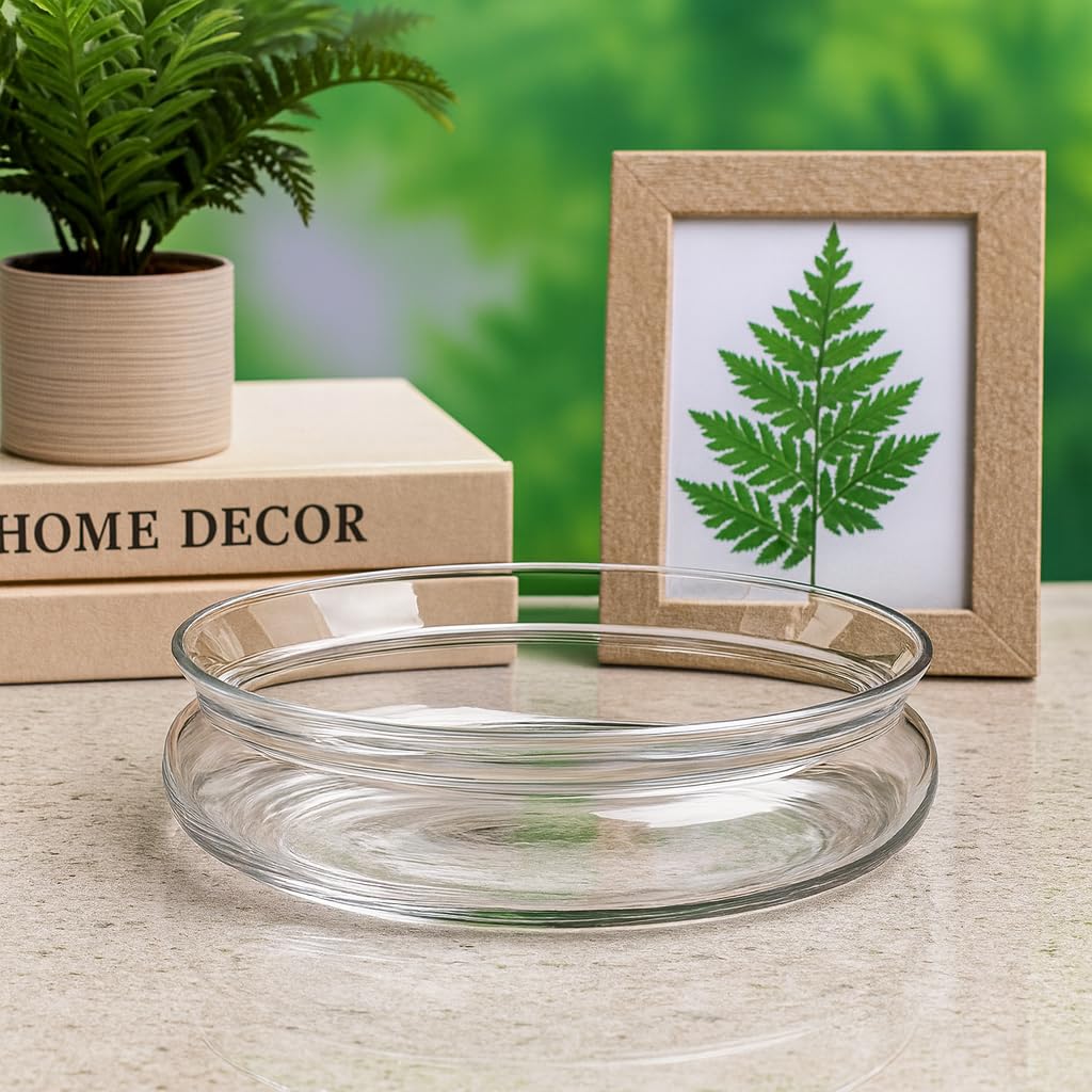 Clear Glass Terrarium Bowl, Round Shallow Planter for Succulents and Air Plants, Home Decor Display Dish Plants not Included only Glass Bowl-image-11