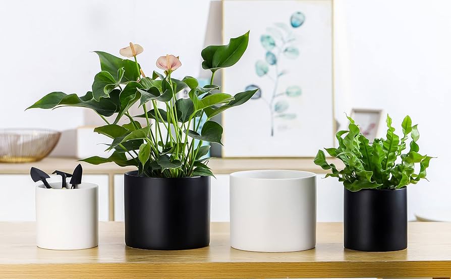 Nihow Flower Pot - 5 & 7 Inch Ceramic Planter Pots for