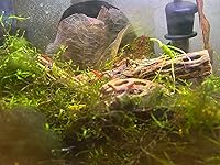 Review Image by Tara