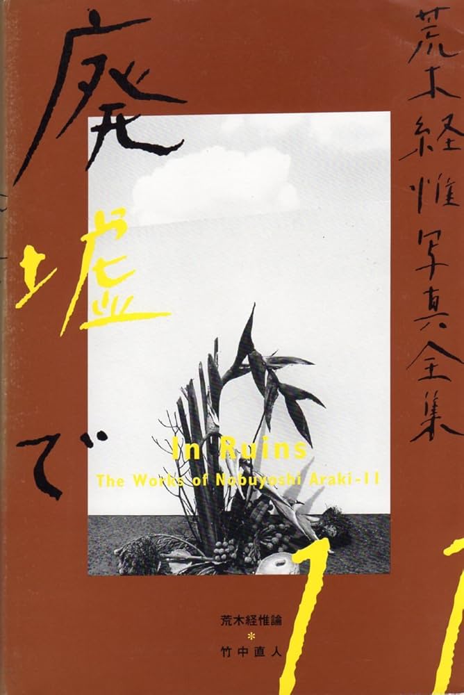 廃盤・今では手に入れることがとても難しい写真集アラーキー荒木経惟 廃盤・今では手に入れることがとても難しい写真集アラーキー荒木