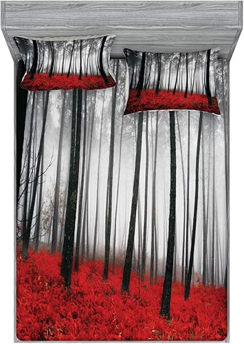 Miniatura 159 de Ambesonne Juego de sábanas bajeras y fundas de almohada, dibujos de aviones antiguos, vuelos clásicos con fechas, estilo vintage, diseño nostálgico,