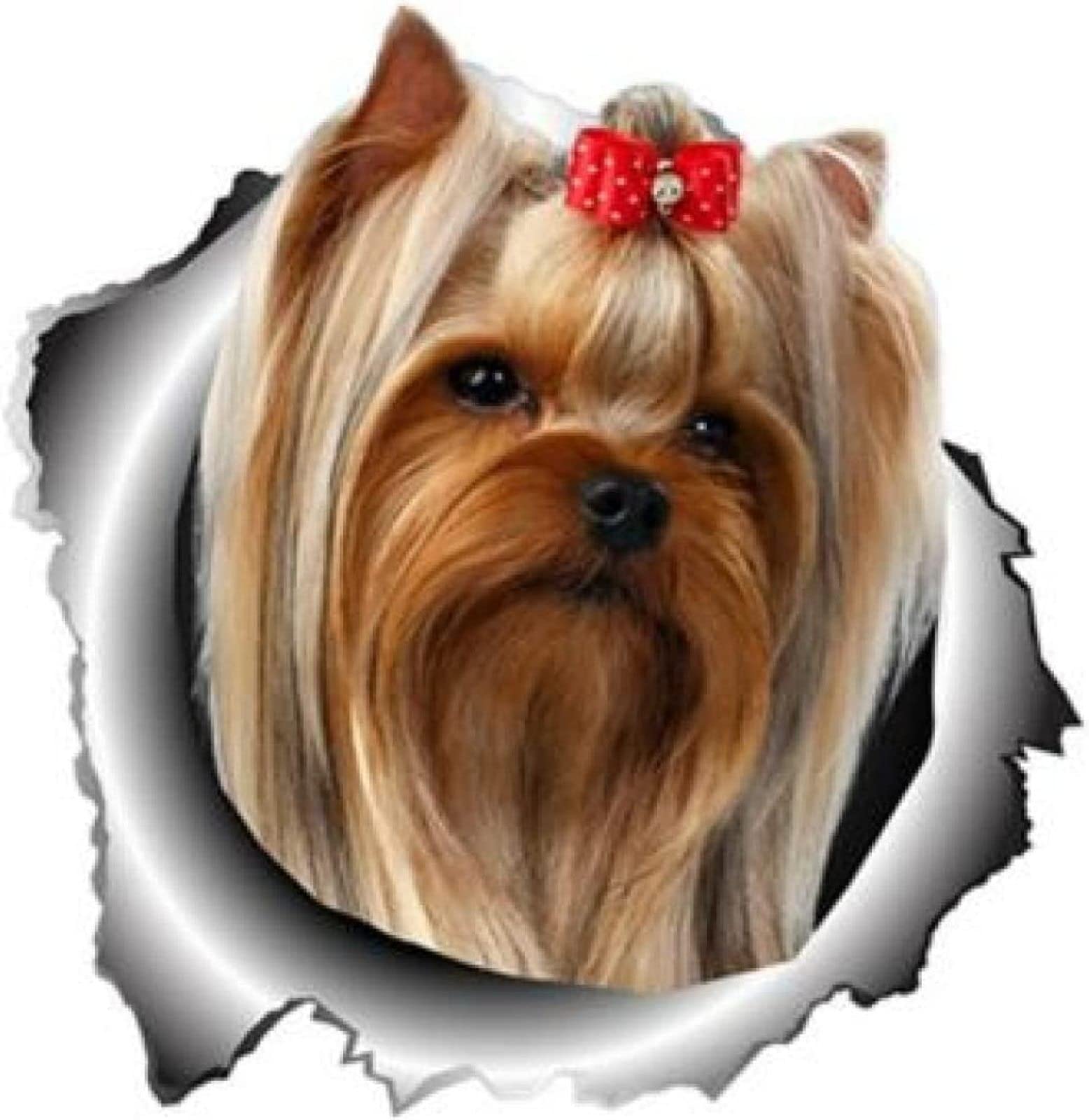 Adesivo auto Yorkshire Terrier 9 x 9 cm adesivo per cani