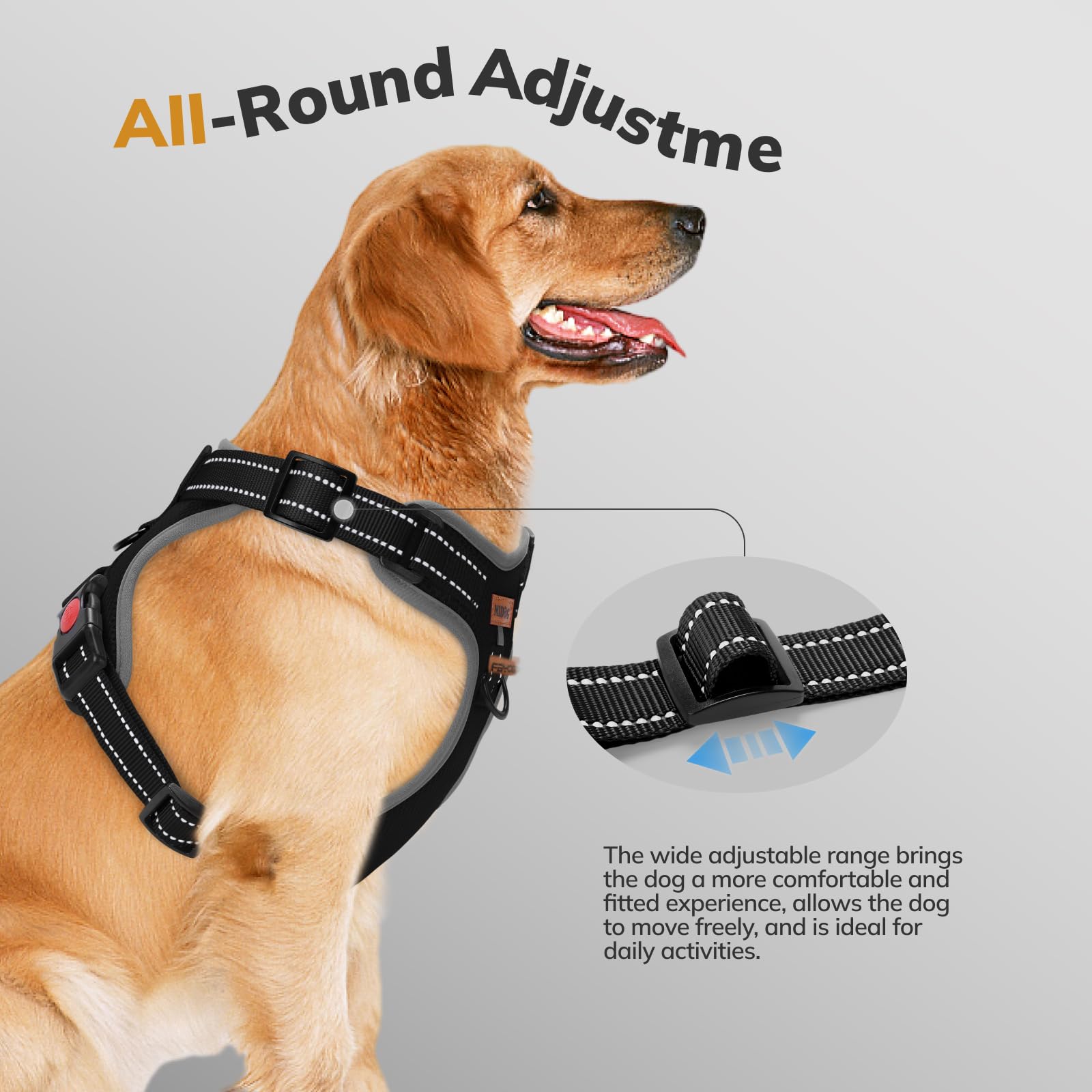 FAYOGOO Pettorina Cane, Pettorina Cane Taglia Media Regolabile, Traspirante Pettorina Cane Taglia Grande con Guinzaglio, Pettorina Antifuga Cane per la Corsa, Passeggiate, Jogging (Nero, XL)