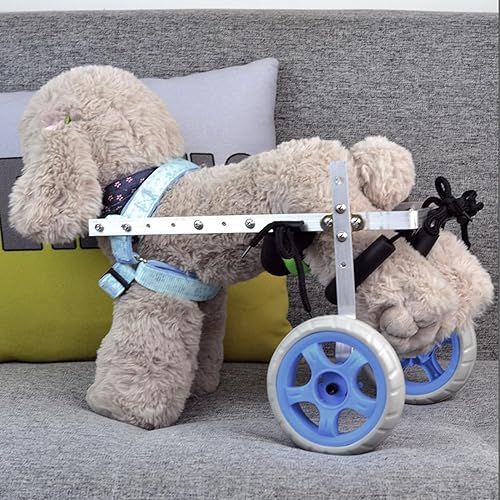 Miniatura 3 de Silla de ruedas para perros para patas traseras, marco de aluminio, silla de ruedas para mascotas, 2 ruedas, ligera, silla de ruedas para