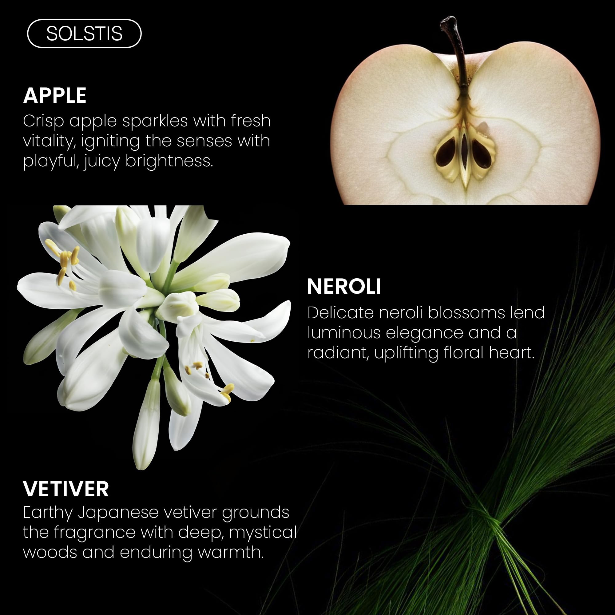 Fragrance Bois Solstis Parfum 3 38