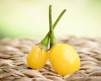 Yellow Wiri Wiri Heirloom Pepper Premium Seeds for Planting Packet
