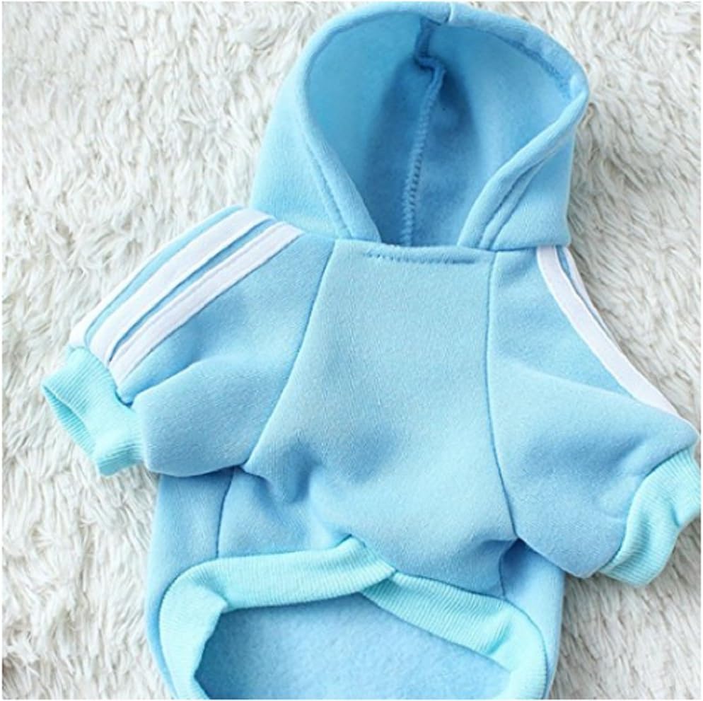 tuta comfort per cani durante le tempeste