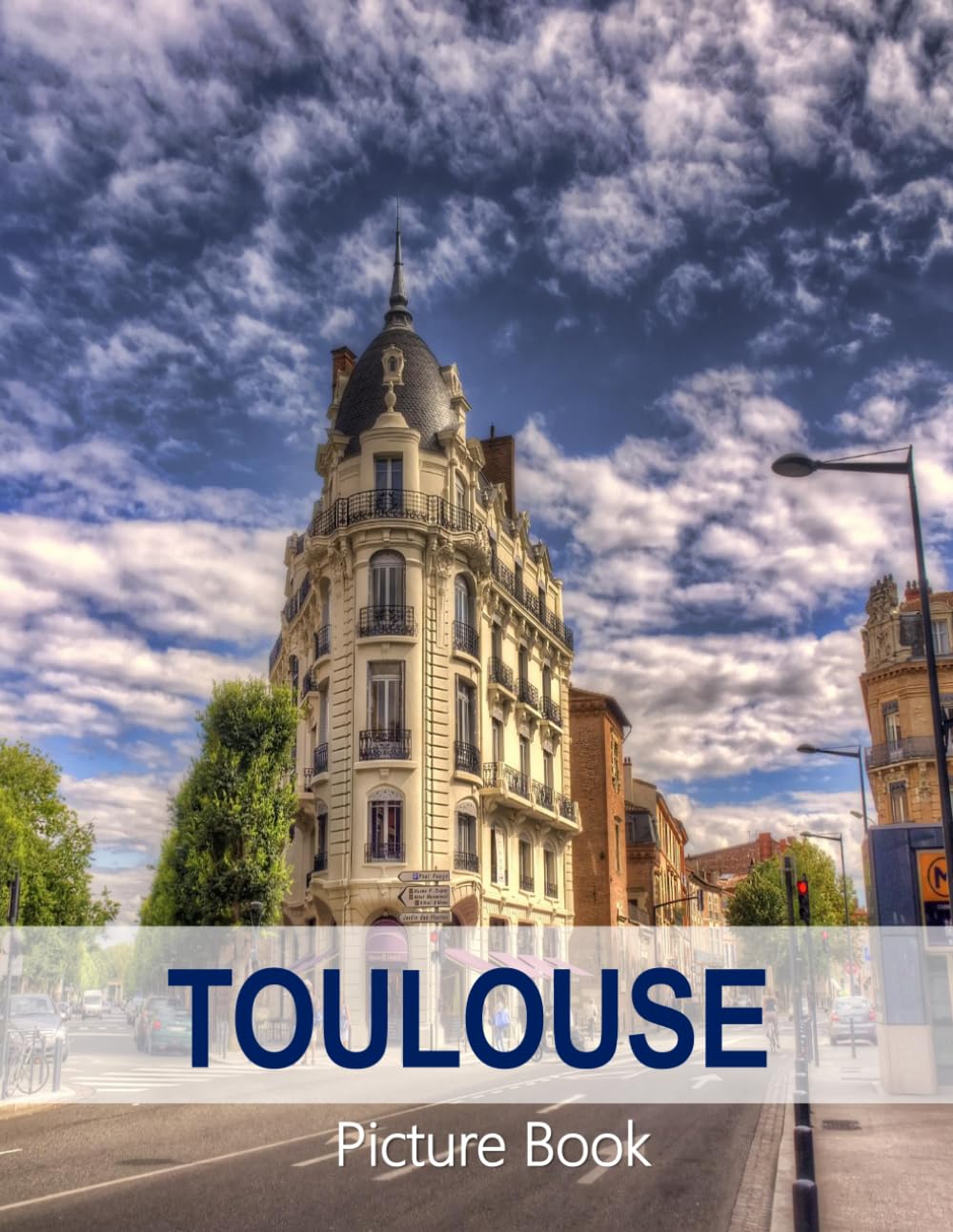 Toulouse: A Beautifully Curated Coffee Table Book for Travel and Tourism Enthusiasts