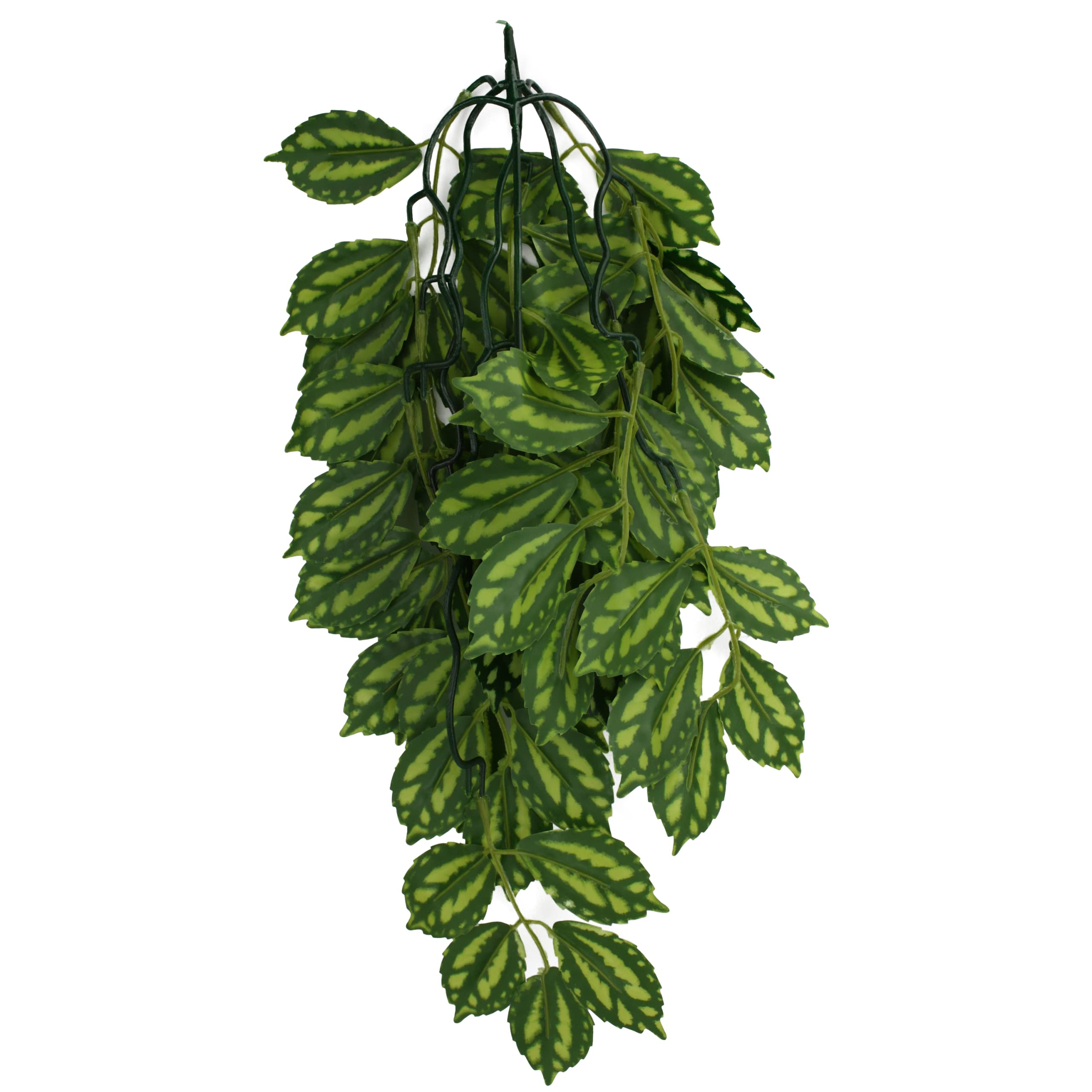 Multi Pet 48593306: Komodo Two-Toned Leaf Hanging Plant, Lg