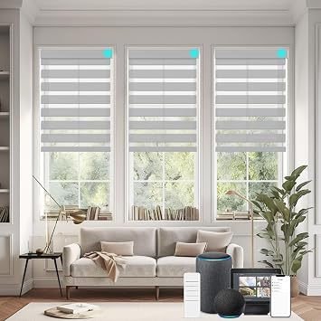 Changshade Custom Smart Motorized Zebra Roller Blinds Shades for Indoor Windows Doors Remote Control, Cordless Electric Automatic Customized Size Compatible with Alexa, Google HomeCharcoal Gray