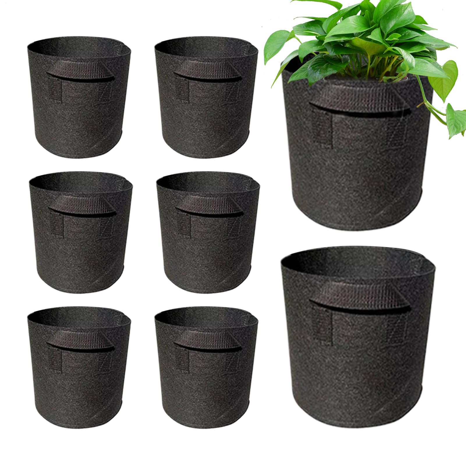Pots de bassin non tissés pour stopper le pourrissement des racines
