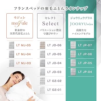 【フランスベッド】高級羽毛布団クイーンサイズ　JOORYU Amazon｜【フランスベッド正規品】 羽毛布団 グレー(柄