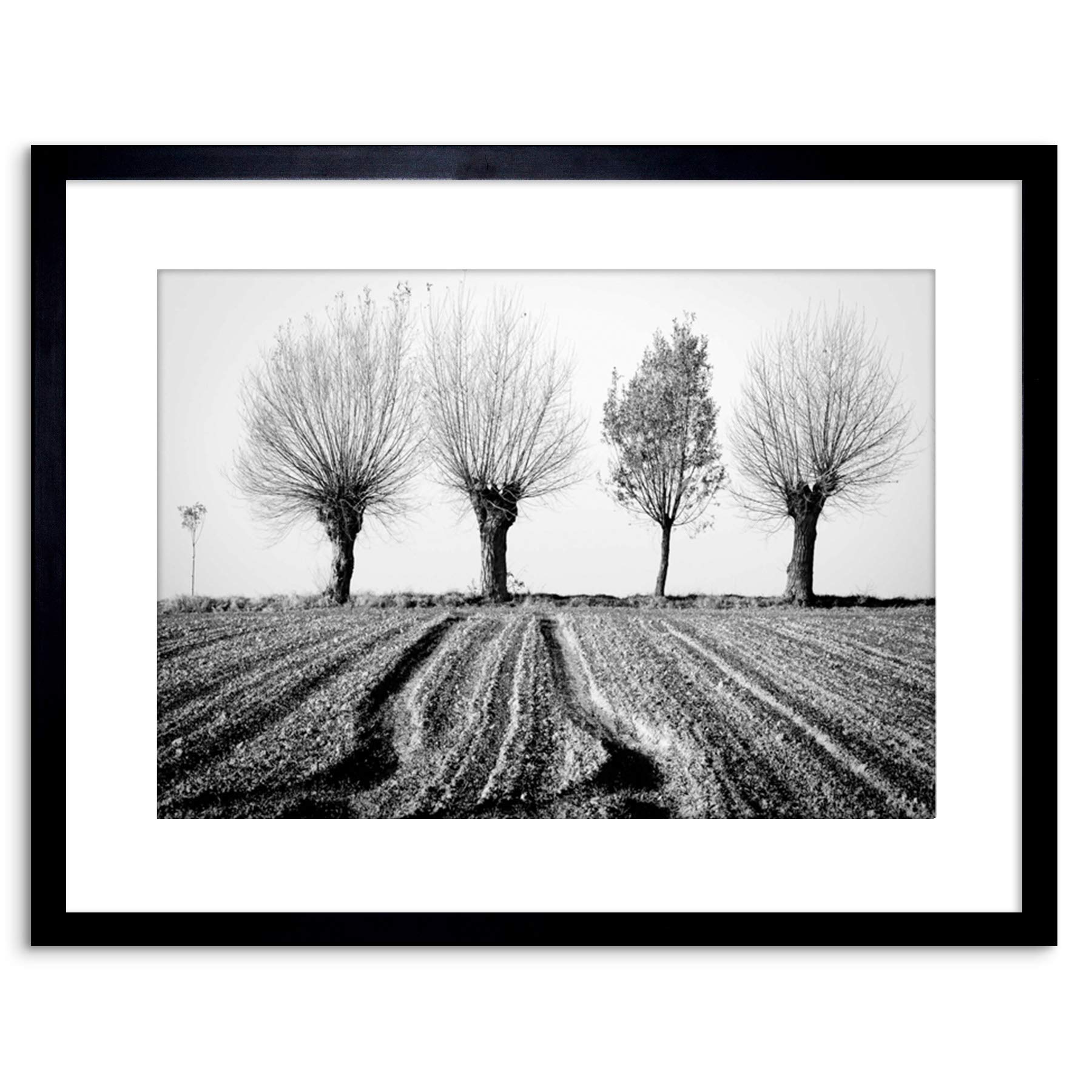 Wee Blue Coo 9x7 '' TREES HORIZON BLACK WHITE FRAMED ART PRINT PICTURE MOUNT PHOTO F97X1560