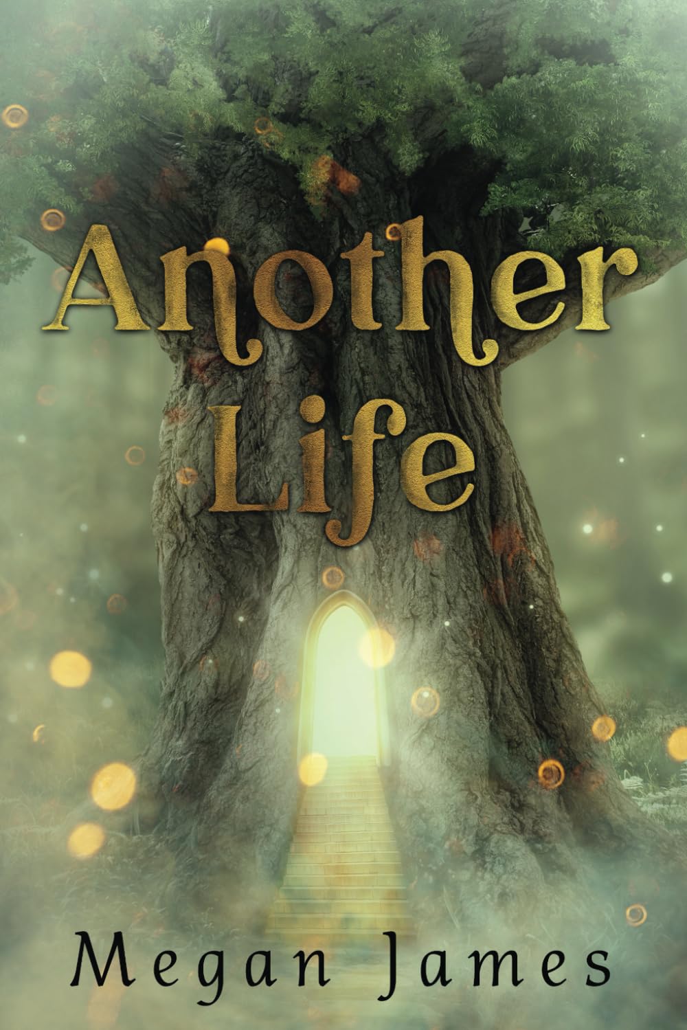 Another Life