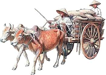 昭和時代の物 60年ほど前 ベトナム人形 楽天市場】人形 陶製 ミニチュア 少数民族 10体入り 1箱