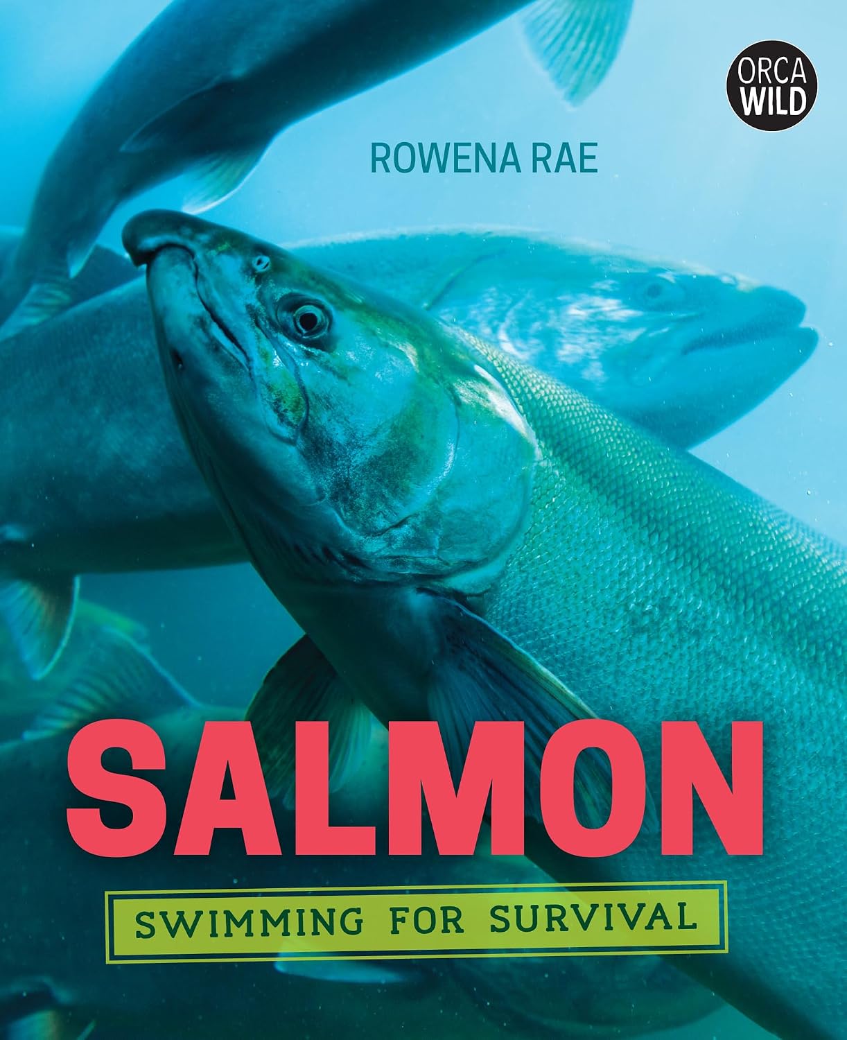 Salmon: Swimming for Survival (Orca Wild, 8)