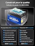 DCHOUSE 48V 100Ah LiFePO4 Batterie Voiturette de Golf Chargeur et Monitor - 5